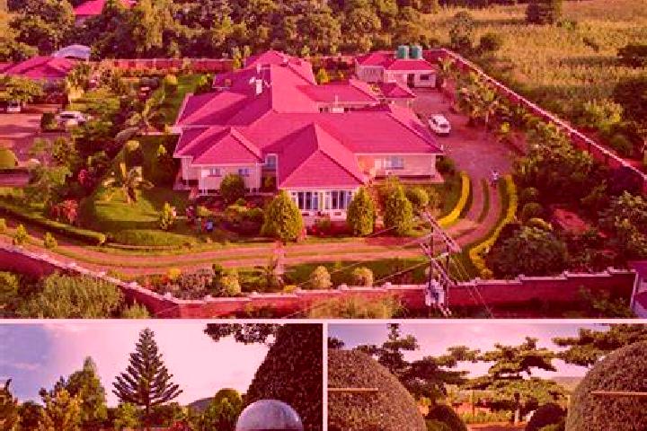BalloniX slot machine
