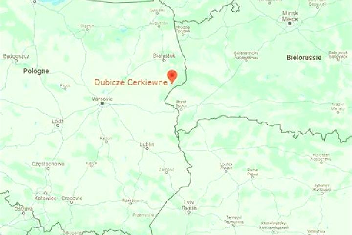 Beaver Bonk slot machine