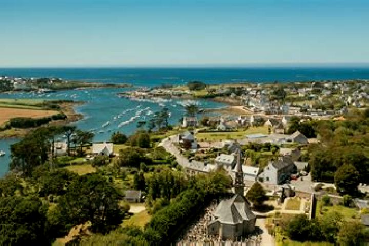 Bees N Honey slot machine