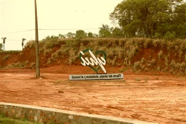 Billie Wild slot game