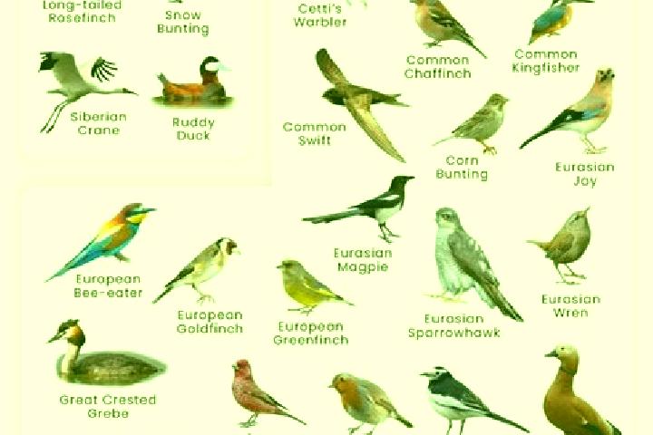 Bounty Gold slot machine