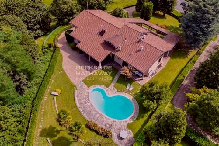 Cash Heist Museum Madness online slot