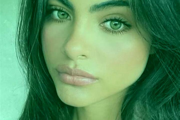 Chinese Zodiac (GameArt) slot game