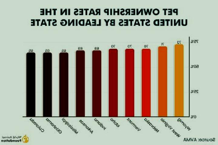 Democracy slot