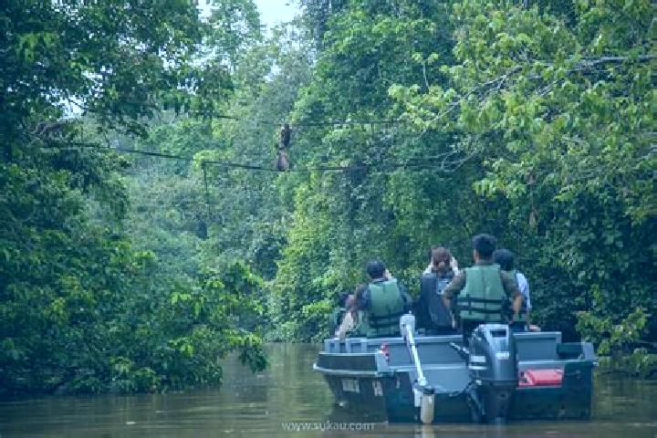Deuces Wild 10 Hands (GVG) slot machine