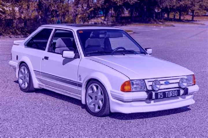 Doubleup Ducks slot game