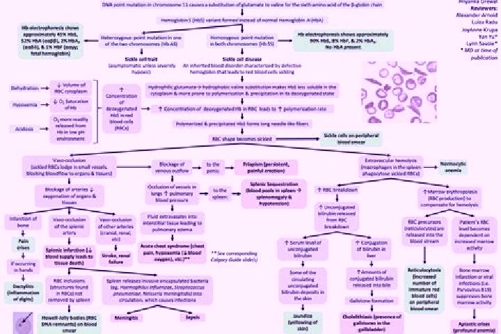 Eternal Night slot game