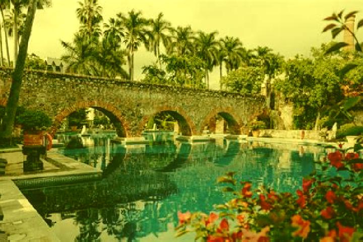 Jelly Hunter Quadspins slot game