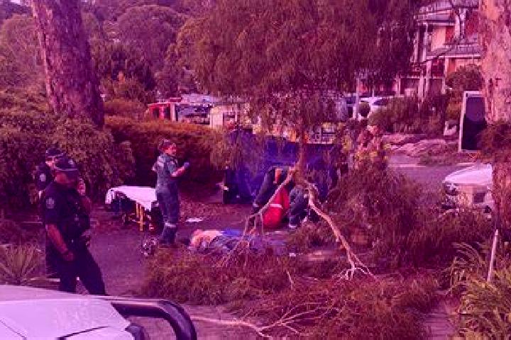 Montecarlo Glamour slot