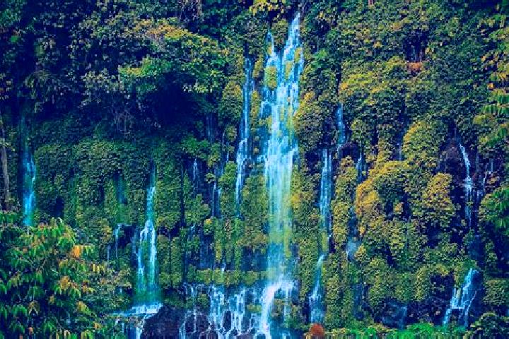 Pony Up slot