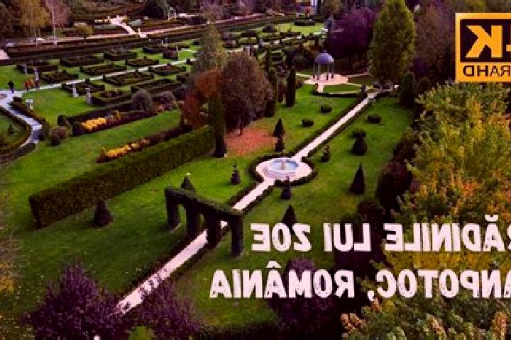 Red Hot Free Spins slot machine