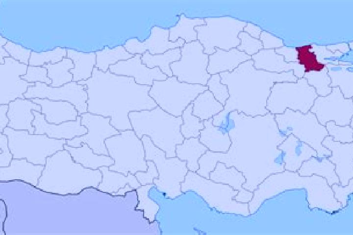 The Eternal Widow slot machine