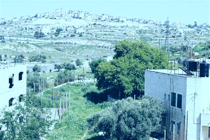 Tipsy Wizard online slot