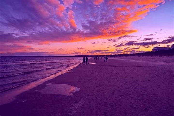 Trump Card Queen slot game