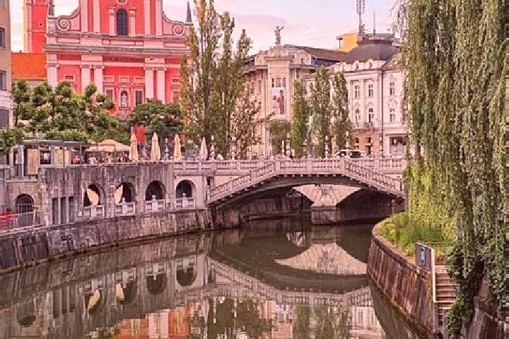 Wild Beasts online slot